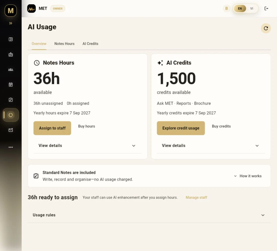 MET Business AI Usage